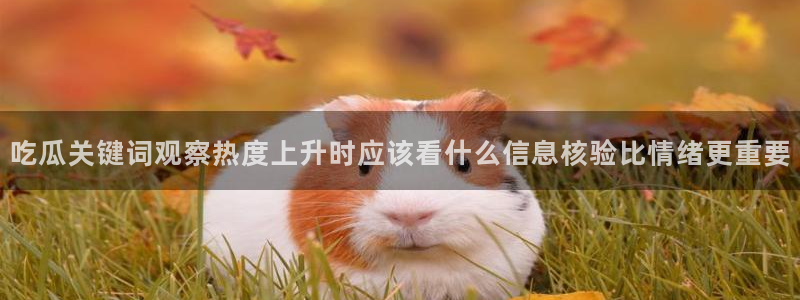 吃瓜爆料网