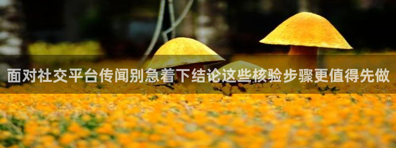 51吃瓜视频在线观看：面对社交平台传闻别急着下结论这些核验步骤更值得先做