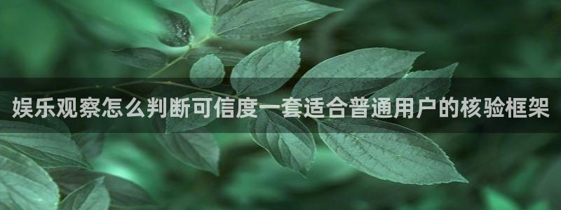 吃瓜直播:娱乐观察怎么判断可信度一套适合普通用户的核验框架