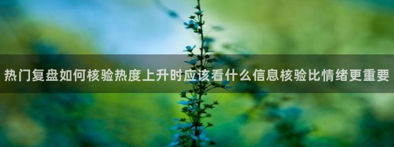 吃瓜718:热门复盘如何核验热度上升时应该看什么信息核验比情绪更重要