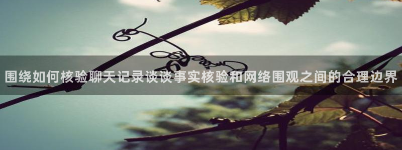 17吃瓜:围绕如何核验聊天记录谈谈事实核验和网络围观之间的合理边界